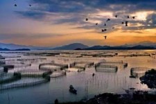 海门伴游中国网景点丰富(旅游网介绍)