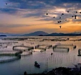 海门伴游中国网景点丰富(旅游网介绍)