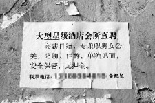 海门珠海伴游雇用网(珠海游览社雇用信息)