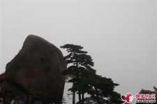 海门上海伴游私家陪游雇用女模(上海伴游私家陪游雇用女模特)