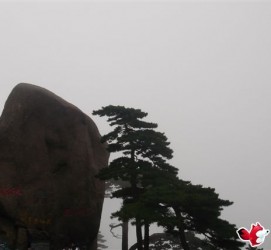 海门上海伴游私家陪游雇用女模(上海伴游私家陪游雇用女模特)