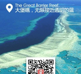 海门中国250家旅行社结伴游新西兰(新西兰当地旅行社)