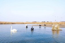 海门南昌附近伴游小妹兼职(1534939978姐的微信德惠市)