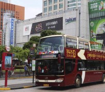海门上海私人伴游 上海过年怎么玩？这些“微游”线路了解下→