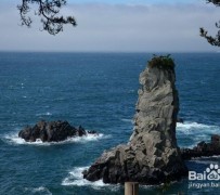 海门旅游全攻略(上海旅游全攻略)