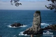 海门旅游全攻略(上海旅游全攻略)