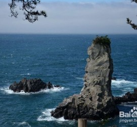 海门旅游全攻略(上海旅游全攻略)