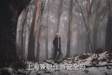 海门上海私人伴游 上海伴游，上海兼职伴游安全吗