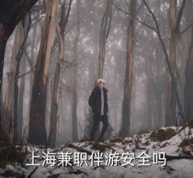 海门上海私人伴游 上海伴游，上海兼职伴游安全吗