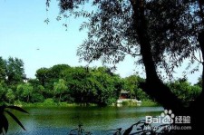 海门西湖旅游攻略(上海到杭州西湖旅游攻略)