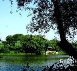 海门西湖旅游攻略(上海到杭州西湖旅游攻略)