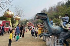 海门中国伴游带你打卡网红南山竹海(南山竹海网上预约)