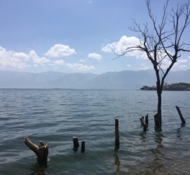 海门洱海旅游攻略(洱海旅游攻略自由行)