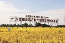 海门关于成都商务伴游外围雇用的信息