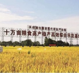 海门关于成都商务伴游外围雇用的信息