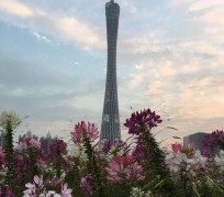 海门广州旅游攻略(杭州到广州旅游攻略)