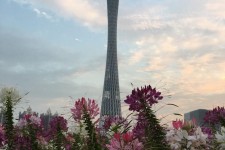 海门广州旅游攻略(杭州到广州旅游攻略)