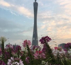 海门广州旅游攻略(杭州到广州旅游攻略)