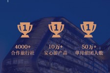 海门上海私人伴游 ​ “小而美”的新时代：2020年国内新跟团消费报告