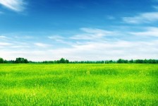 海门上海伴游 上海模特伴游微信号的交友宣言