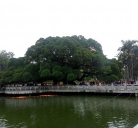 海门福州旅游攻略(福州旅游攻略二日游)
