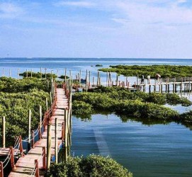 海门旅游哪里好玩(云南旅游哪里好玩)