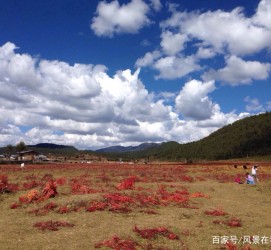 海门旅游去处(暑期最好的旅游去处)