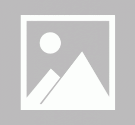 海门私人伴游 黄金周里动“黄”经 天津又现“私人陪游”逆流